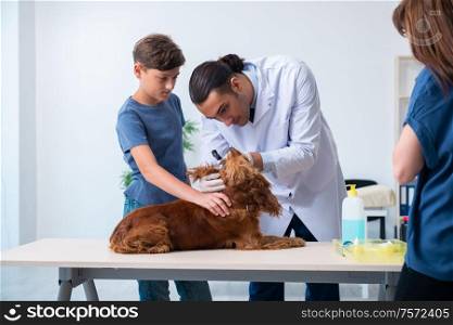 The vet doctor examining golden retriever dog in clinic. Vet doctor examining golden retriever dog in clinic