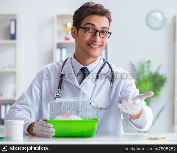 The vet doctor examining rabbit in pet hospital. Vet doctor examining rabbit in pet hospital