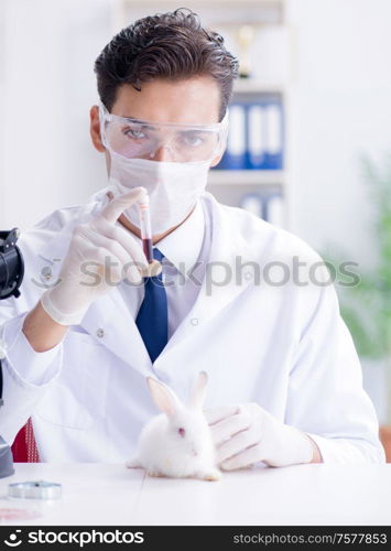 The vet doctor examining rabbit in pet hospital. Vet doctor examining rabbit in pet hospital