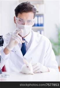 The vet doctor examining rabbit in pet hospital. Vet doctor examining rabbit in pet hospital
