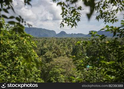 the view from the Wat Tham Khao Noi at the Village of Kui Buri at the Hat Sam Roi Yot in the Province of Prachuap Khiri Khan in Thailand,  Thailand, Hua Hin, November, 2022. THAILAND PRACHUAP SAM ROI YOT WAT THAM KHAO NOI