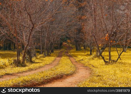 The view on the way up to Doi Luang Chiang Dao, Chiang Mai, Thailand.. View on the way up to Doi Luang Chiang Dao,