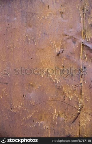 The vintag rusty grunge iron textured background