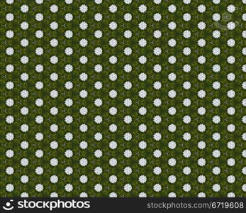 the vintage shabby background with classy patterns