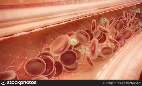 The viruses and bacteria that cause meningitis can be spread through 3D illustration. The viruses and bacteria that cause meningitis can be spread through: