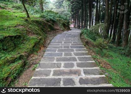 The walk way at Alishan national park area in Taiwan.