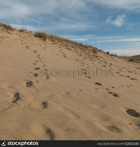 The Walking Dunes, Montauk, NY