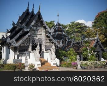 the Wat chedi Luang in the city of Chiang Mai in North Thailand in Thailand in southeastasia.. ASIA THAILAND CHIANG WAT CHEDI LUANG