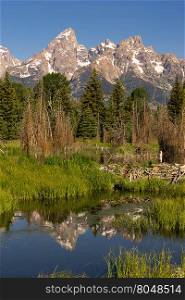 The water is perfectly smooth showing high peak reflections in the Teton&rsquo;s below this Beaver Dam
