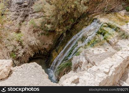 The Waterfall in national park Ein Gedi at the Dead Sea in israel. The Waterfall in national park Ein Gedi