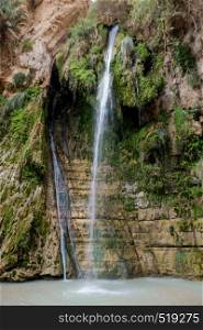 The Waterfall in national park Ein Gedi at the Dead Sea in israel. The Waterfall in national park Ein Gedi