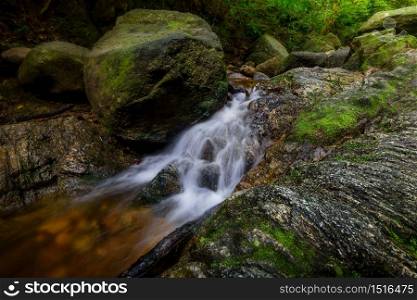 The waterfall in the forest with soft light