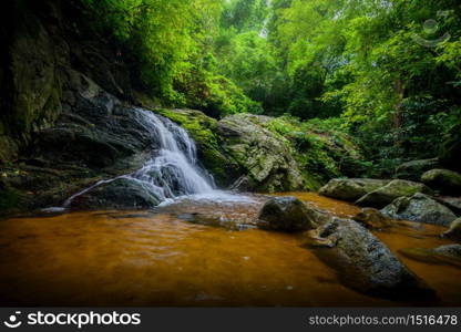 The waterfall in the forest with soft light