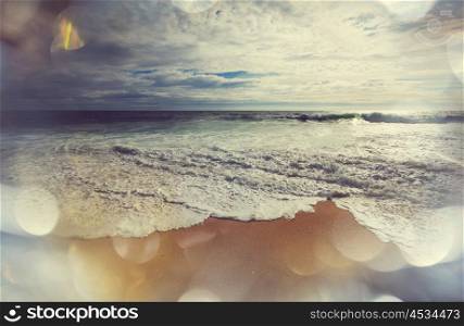 The wave on the beach