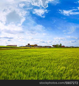 The Way of Saint James in Palencia cereal fields of Spain