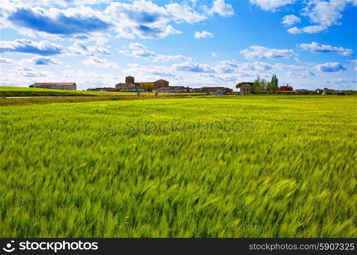 The Way of Saint James in Palencia cereal fields of Spain