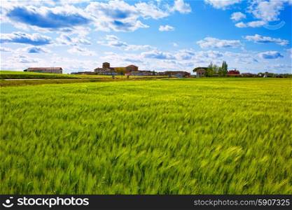 The Way of Saint James in Palencia cereal fields of Spain