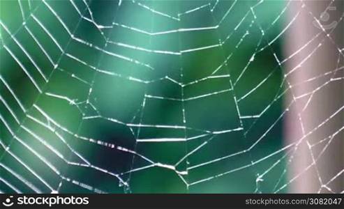 the web is flowing from the wind