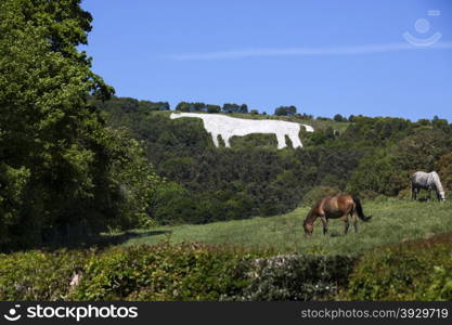 The White Horse near Kilburn in the North York Moors National Park in the northeast of England. The figure was cut in 1857.
