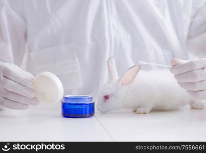 The white rabbit in scientific lab experiment. White rabbit in scientific lab experiment