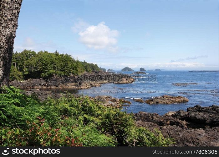 The Wild Pacific Trail located in the District of Ucluelet with the rugged cliffs and shoreline of the westcoast of Vancouver Island, Canada.