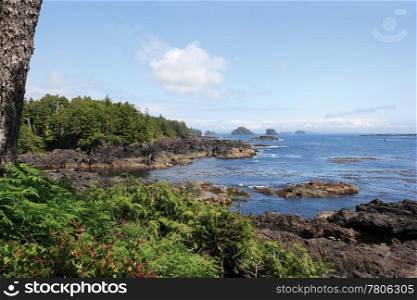 The Wild Pacific Trail located in the District of Ucluelet with the rugged cliffs and shoreline of the westcoast of Vancouver Island, Canada.