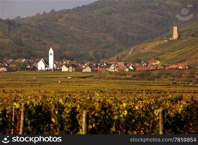 The wine Hills of the village of Hunawihr in the province of Alsace in France in Europe. EUROPE FRANCE ALSACE