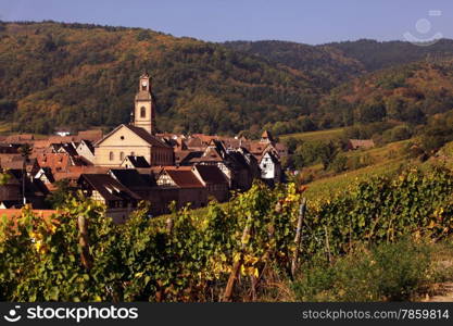The wine Hills of the village of Riquewihr in the province of Alsace in France in Europe. EUROPE FRANCE ALSACE