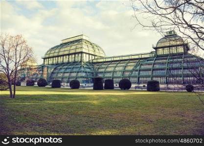 The winter Palmenhaus Schoenbrunn is a large greenhouse in Wien, Austria
