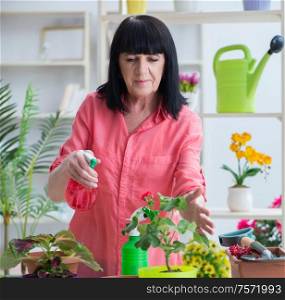 The woman florist working in the flower shop. Woman florist working in the flower shop