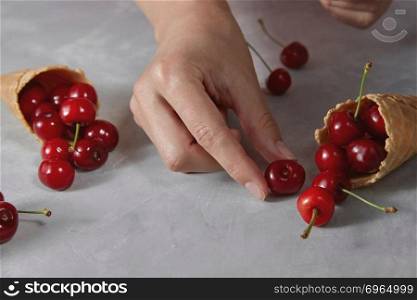 The woman’s hands put ripe red cherries in crispy wafer cups for homemade sorbet on a gray stone background. Vegetarian diet eating.. Natural organic fresh cherry fruits with wafer sweet cones and girls hands hold berries on a gray stone background.