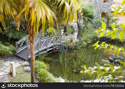 The wooden bridge through a stream in tropical park.