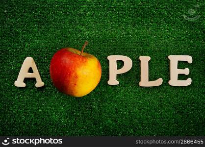The word apple written on green background