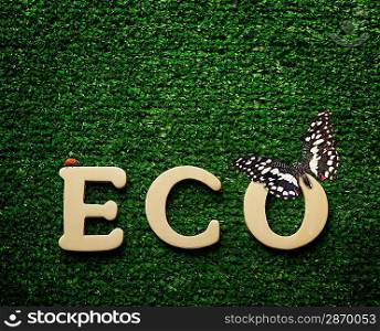The word eco written on green background