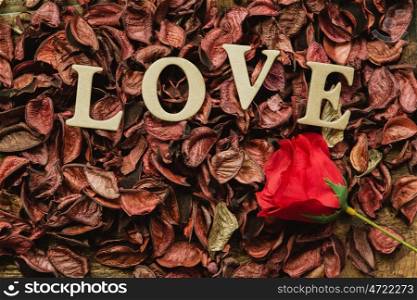 The word Love on dry red petals