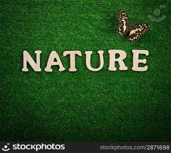 The word nature written on green background