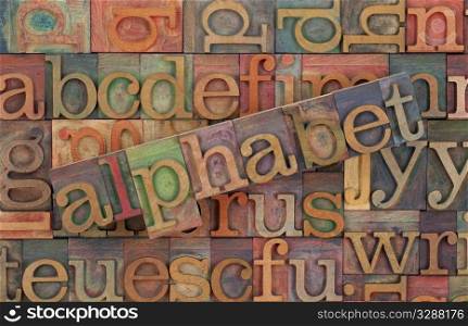 the word of alphabet across a background of vintage wooden letterpress type blocks, stained by color inks