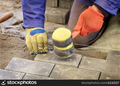 The worker lay the paving slab with special hammers, leveling it according to the level of the tensioned thread. Paving the tiles on the sidewalk, the worker lay the tile, aligning it on the thread