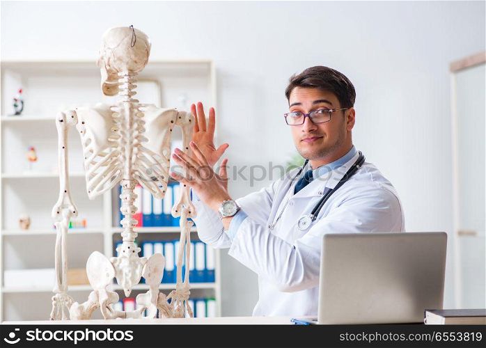 The yong male doctor with skeleton isolated on white. Yong male doctor with skeleton isolated on white