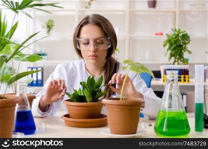 The young beautiful biotechnology chemist working in the lab. Young beautiful biotechnology chemist working in the lab