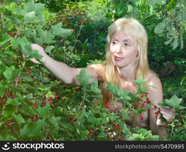 The young beautiful girl near to a bush of a red currant.