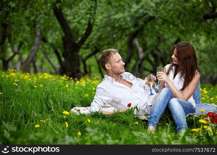 The young couple in park on picnic drinks champagne