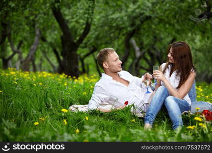 The young couple in park on picnic drinks champagne