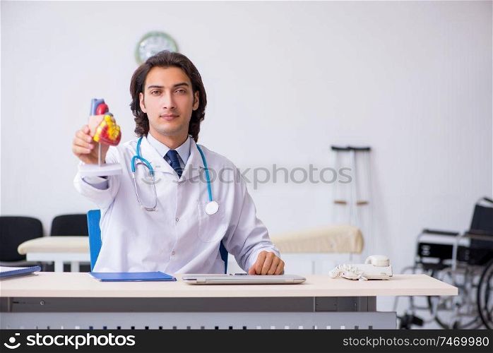 The young doctor cardiologist with heart model . Young doctor cardiologist with heart model 
