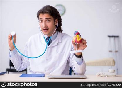 The young doctor cardiologist with heart model . Young doctor cardiologist with heart model