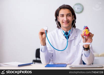 The young doctor cardiologist with heart model. Young doctor cardiologist with heart model