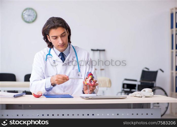 The young doctor cardiologist with heart model. Young doctor cardiologist with heart model