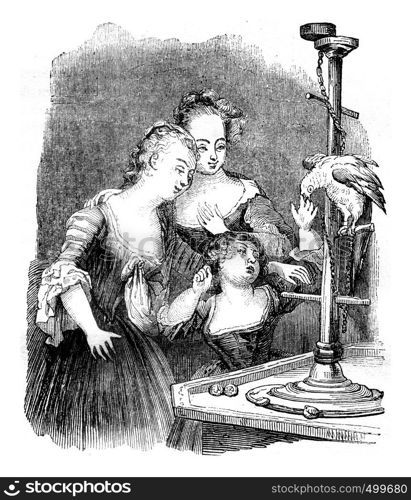 The Young Girls and the Parrot, vintage engraved illustration. Magasin Pittoresque 1841.