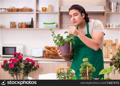 The young handsome man cultivating flowers at home. Young handsome man cultivating flowers at home