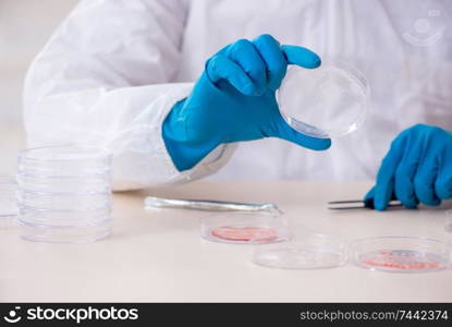 The young male chemist working in the lab . Young male chemist working in the lab 